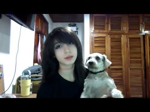 respondiendo a sus preguntas todas pendejas para que dejen de sacarse teorias del qlo