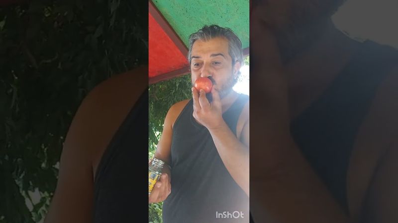 УРОЖАЙНЫЙ ДЕНЬ🍅#обзор #рекомендации #жизнь #история #мужжена #семья #юмор #смех #позитив #шортс #мир