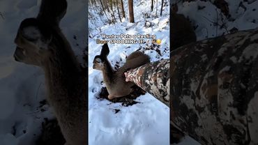 Hunter Pets a Wild Deer Before It Gets SPOOKED! 👻🦌😳 #shorts