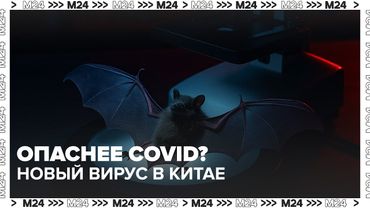 Опаснее COVID? В Китае выявлен новый смертельный вирус — что известно | Москва 24