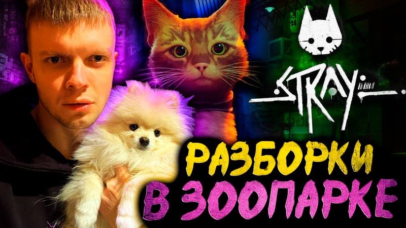 СЕГОДНЯ Я ВАШ КОТИК | ПРОХОДИМ STRAY