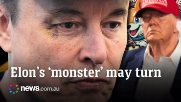 Trump suggests 'looking into' deporting Elon Musk