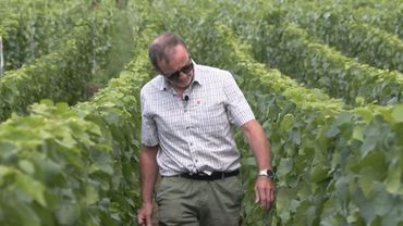 France's champagne makers warn of US tariffs impact | AFP