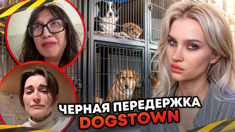 Разоблачение собачьей передержки за 6.000.000 рублей в месяц