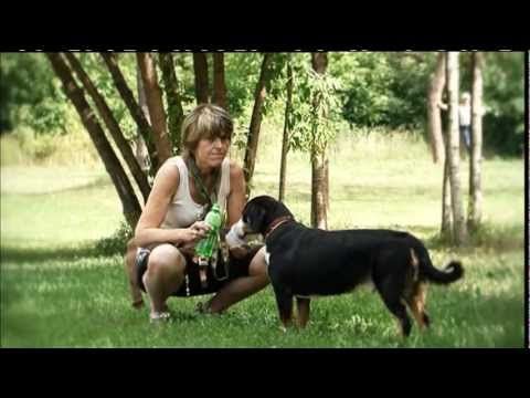 Среда обитания. Дорогой барбос