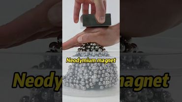 Neodymium magnet #science #funnyvideo #knowledge #shortvideo #shorts #facts
