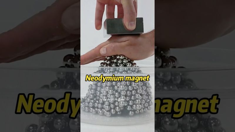 Neodymium magnet #science #funnyvideo #knowledge #shortvideo #shorts #facts