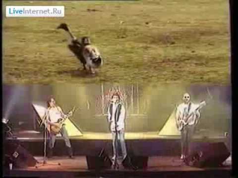 Nazareth - " Animals "