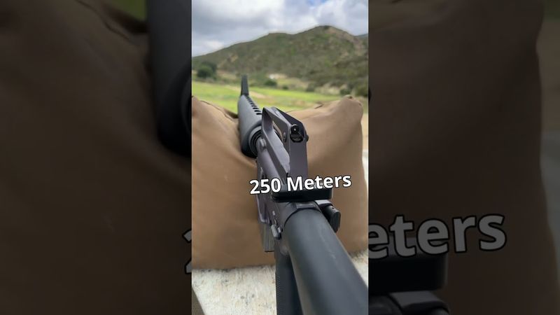 un...Fortunate Son (Little M16)