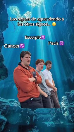 #MemeCut #Meme #signos #escorpio♏ #tik_tok #cancer♋️ #fyp #signosdeag...