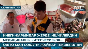 ИЧЕГИ-КАРЫНДАР ЖЕРДЕ, ИШЧИЛЕРДИН МЕДИЦИНАЛЫК КИТЕПЧЕСИ ЖОК... ОШТО МАЛ СОЮУЧУ ЖАЙЛАР ТЕКШЕРИЛДИ