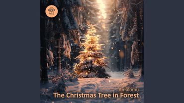 The Christmas Tree in Forest