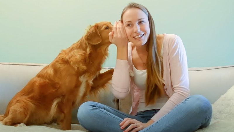 Pets Being the Best Friends Ever😍 | ADORABLE Animals