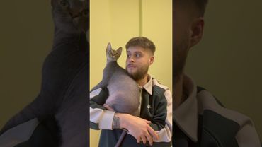 27 октября 2025 г.