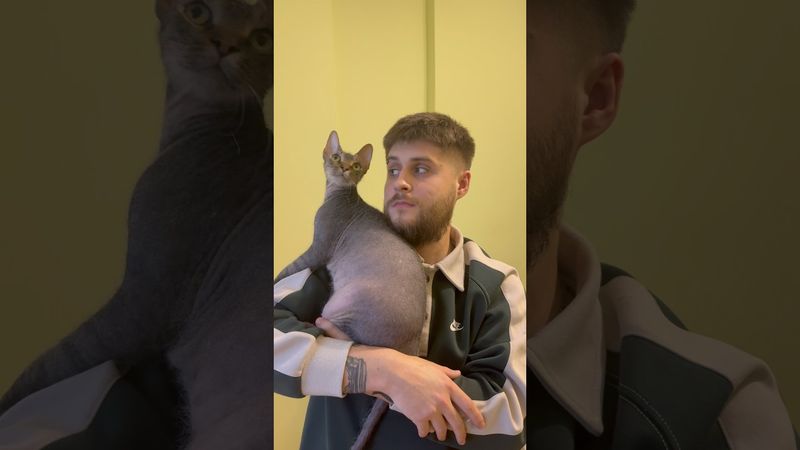 27 октября 2025 г.