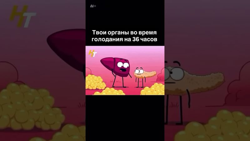 Что происходит во время голодания с органами