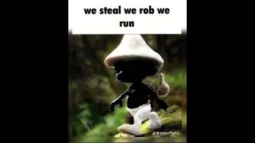 WE ROB WE STEAL WE RUN 💯 #smurfcat