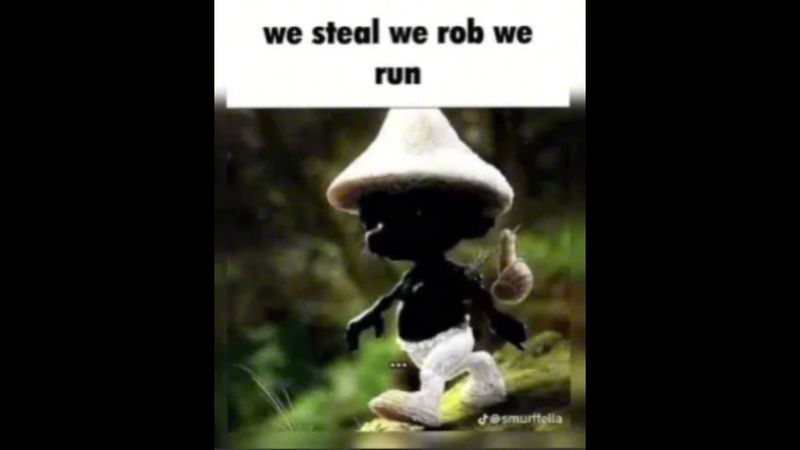WE ROB WE STEAL WE RUN 💯 #smurfcat
