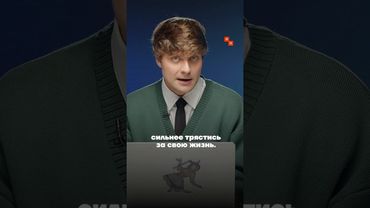 Охрана Путина вооружилась новыми дронами-перехватчиками