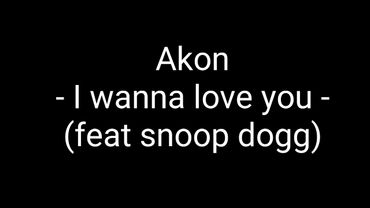 Akon feat Snoop Dogg - I wanna love you - Traduction