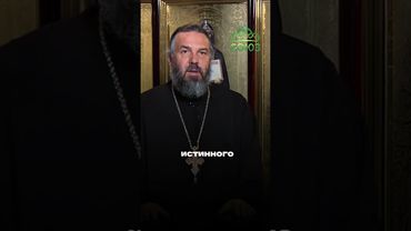 Посадить дерево? Мало. ГДЕ ИСКАТЬ ГЛАВНУЮ ЦЕЛЬ ЖИЗНИ. Протоиерей Евгений Попиченко