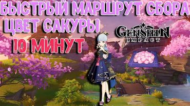 Цвет Сакуры маршрут | 10 минут | Genshin Impact