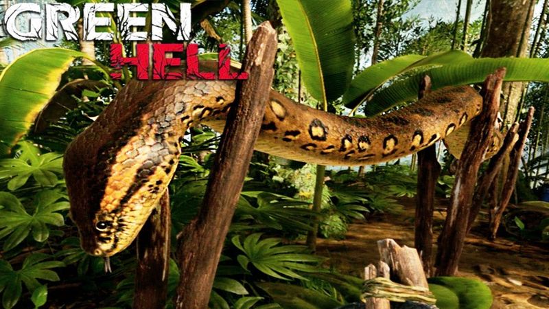 ПУМА И ОСТРОВ АНАКОНДЫ В GREEN HELL #7