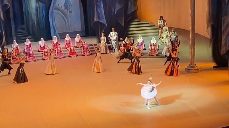 Ivan Vasiliev, ballet Raymonda