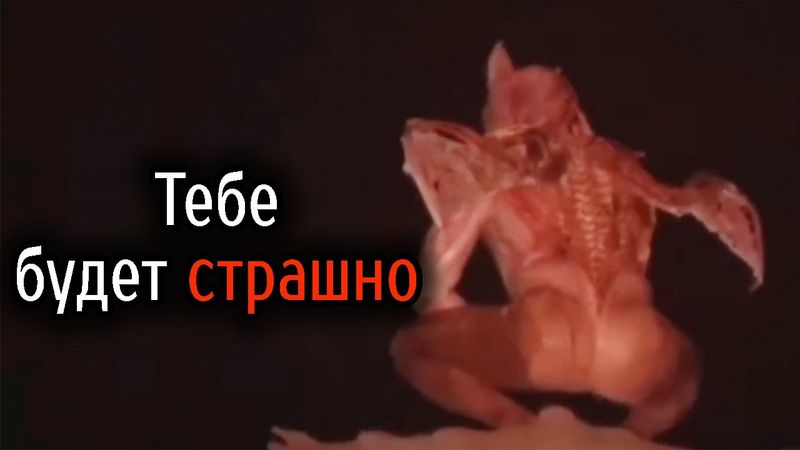 Самые Ужасные Видео со Всего Мира #82