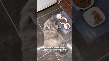 ТГ: layla_winx #гипнокоуч #гипнолог #гипнотерапия #гипнозонлайн