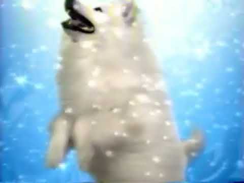 Межпрограммной заставки СТС (2004-2005) [Зима]