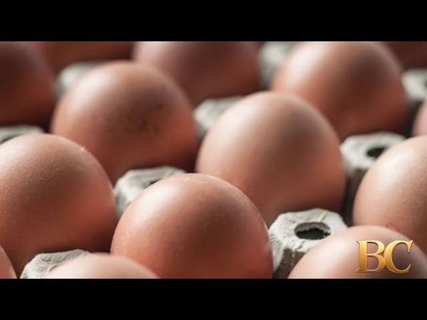 Salmonella outbreak linked to eggs sickens dozens of people across 7 states