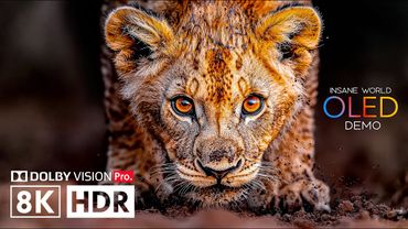 8K HDR 60 FPS 🌈OLED TEST DEMO Dolby Vision - 8K Video