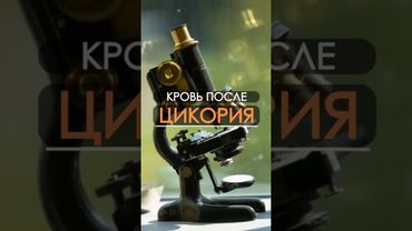 Кровь после цикория