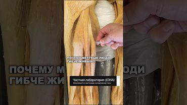 МЕРТВЫЕ ЛЮДИ ГИБЧЕ ЖИВЫХ. ПОЧЕМУ РАСТЯЖКА БЕСПОЛЕЗНА ? (статическая)