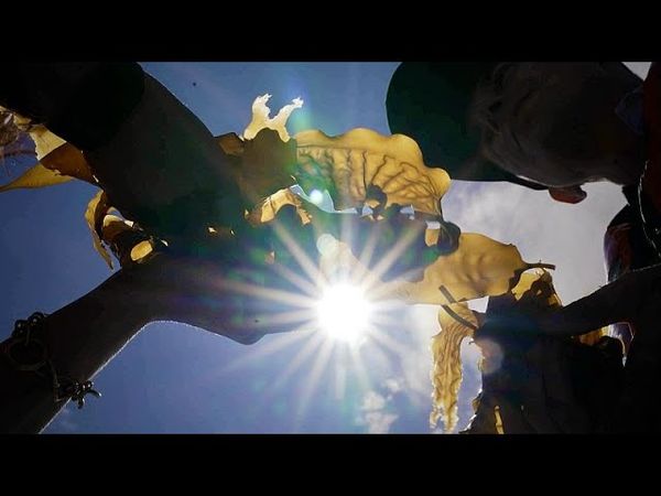 Same space, two harvests: Euronews visits the first seaweed farm at an offshore wind park
