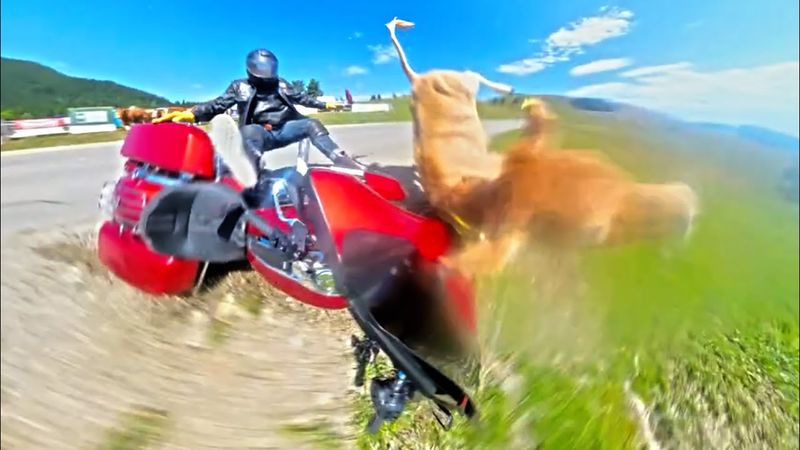 Crazy & Unbelievable MOTORCYCLE CRASHES Riders Hope Never Happen