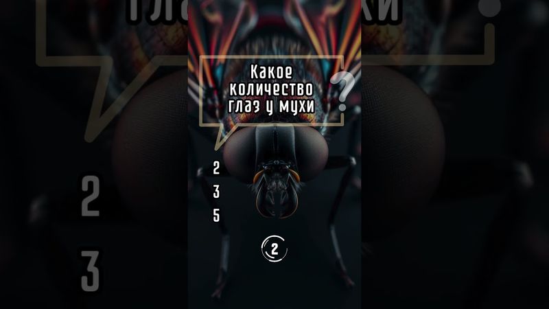 Тест #знания #эрудиция