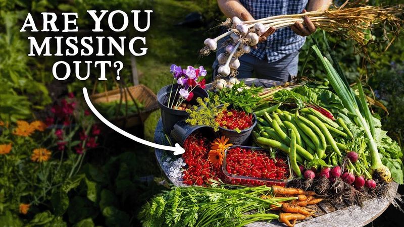 Почему Вы ДОЛЖНЫ "Просто Продолжать Сажать" Летом