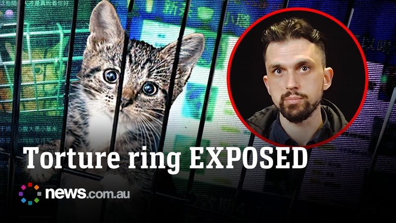 Inside the sick underworld of cat torture rings