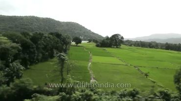 महाराष्ट्र में सावित्री नदी के ऊपर से गुजरती ट्रेन