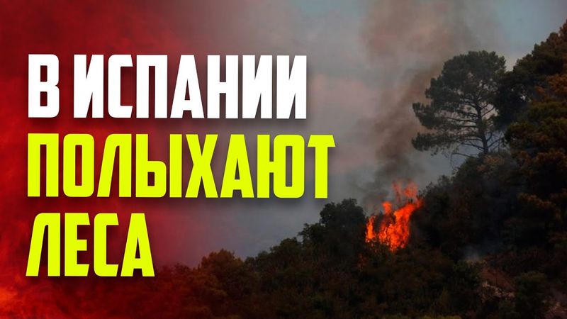 Масштабные лесные пожары вспыхнули в Испании