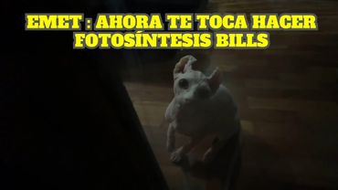 EMETSUKI ENCIERRA A BILLS EN EL CUARTO DE GLOGLO