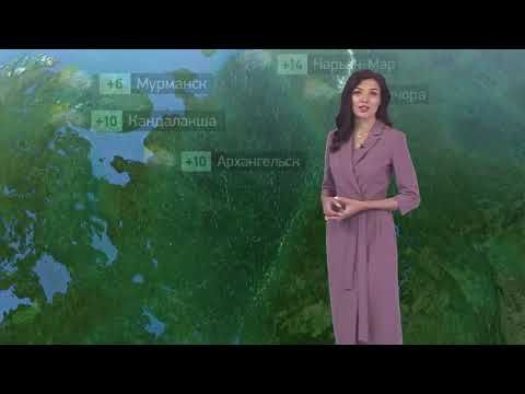 Погода в России на 09.06.2023 пт.