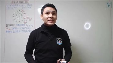 TEMA 13 - CICLO CELULAR