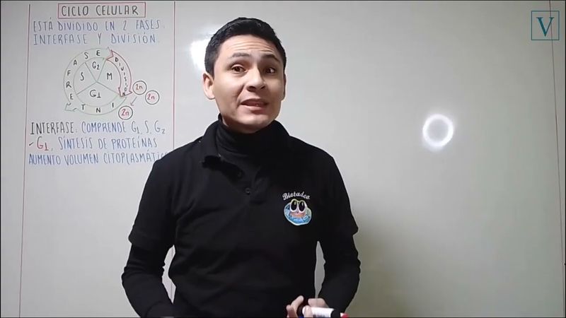 TEMA 13 - CICLO CELULAR