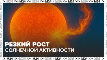Ученые зафиксировали резкий рост солнечной активности — Москва 24