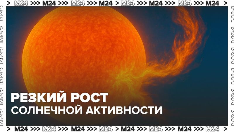 Ученые зафиксировали резкий рост солнечной активности — Москва 24