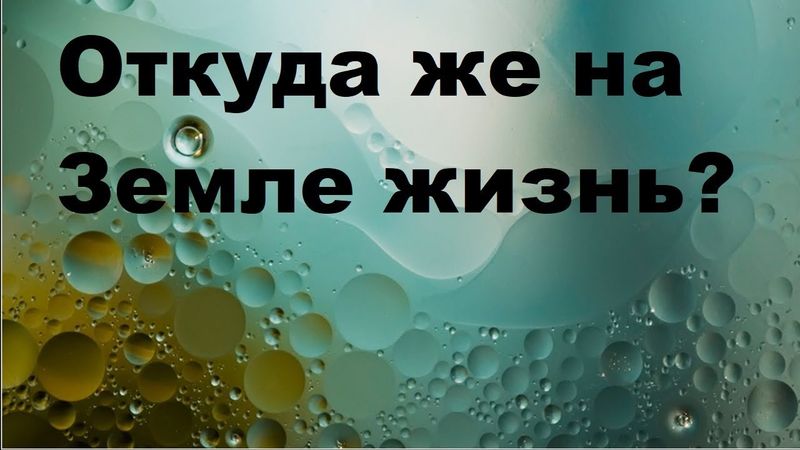 Откуда же на Земле жизнь?
