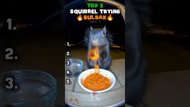 Top 5 Sora Ai Squirrel Trying Spiciest Buldak Noodles 🔥 (Part 3)